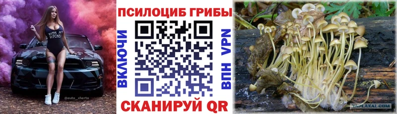 Галлюциногенные грибы MAGIC MUSHROOMS  Пестово 